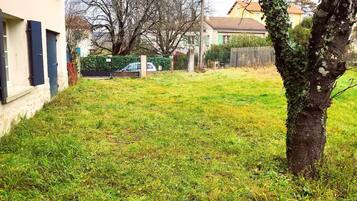 Área da propriedade