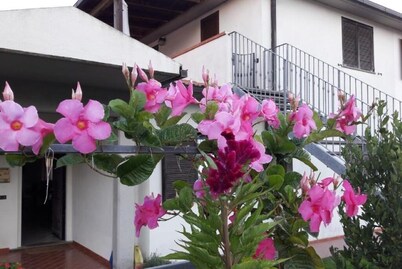 Panoramic apartment with large terrace overlooking the sea, pets allowed.