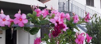 Panoramic apartment with large terrace overlooking the sea, pets allowed.