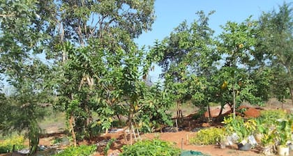 Charming campground and Nature Trail in Mwea with stunning views