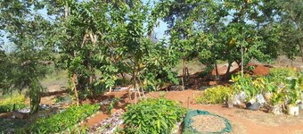 Charming campground and Nature Trail in Mwea with stunning views