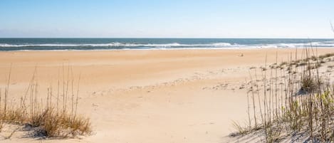 Une plage de sable avec une végétation clairsemée.