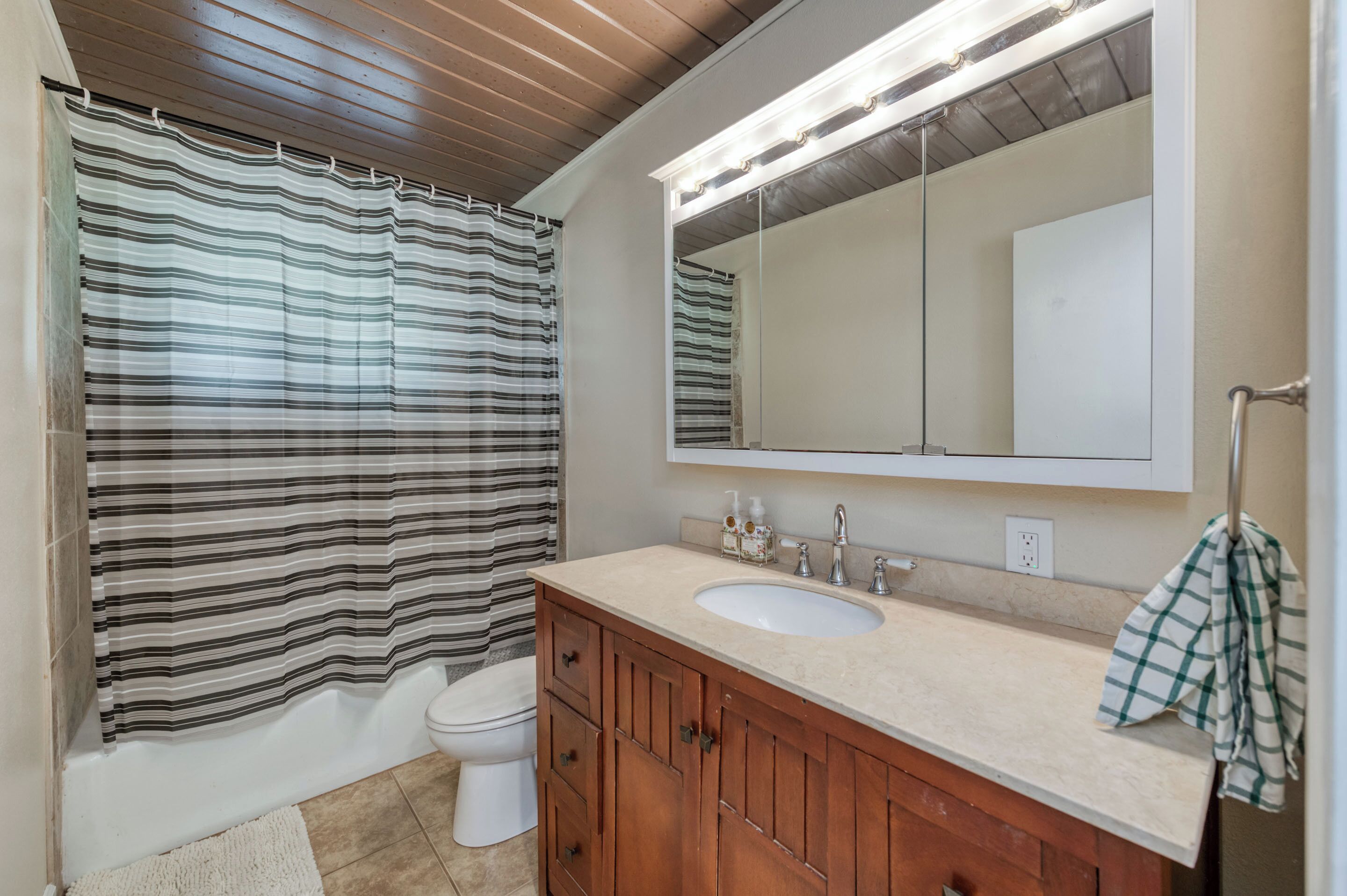 Shower, towels, toilet paper