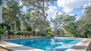 Una piscina con borde de azulejos, rodeada de árboles y plantas en macetas.