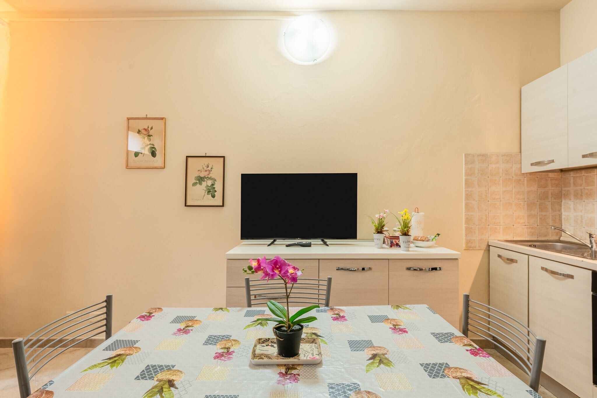 A small kitchen with a dining table, chairs, a TV, and a potted plant.