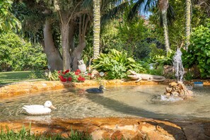 Property grounds - Country House 'El Amanecer' with Mountain View, Wi-Fi and Air Conditioning (Motril)