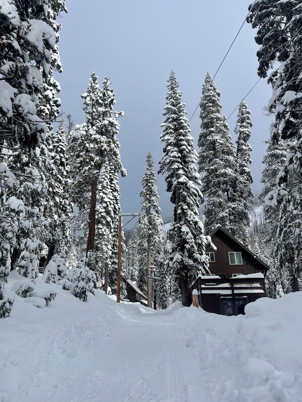 Property grounds - Cozy Mountain Retreat, 9 Min to Sierra Slopes, Sleeps 6 (Echo Lake)