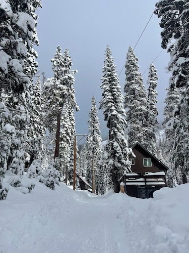 Cozy Mountain Retreat, 9 Min to Sierra Slopes, Sleeps 6