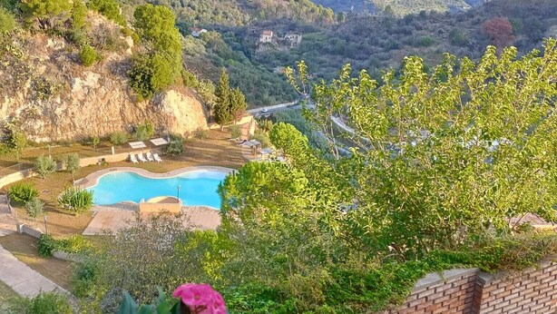 A pool with a mountain backdrop, a brick wall, and a potted plant with pink flowers.