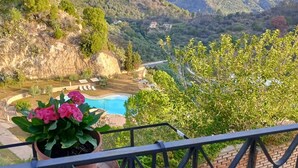 A balcony with a view of mountains, a swimming pool, and a potted plant.