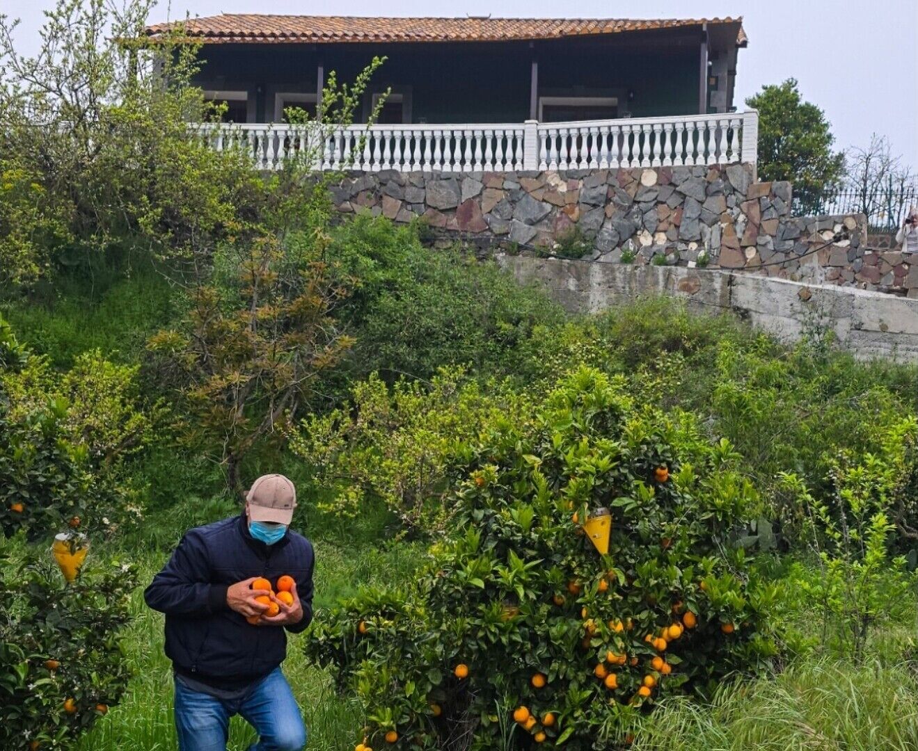 Fachada