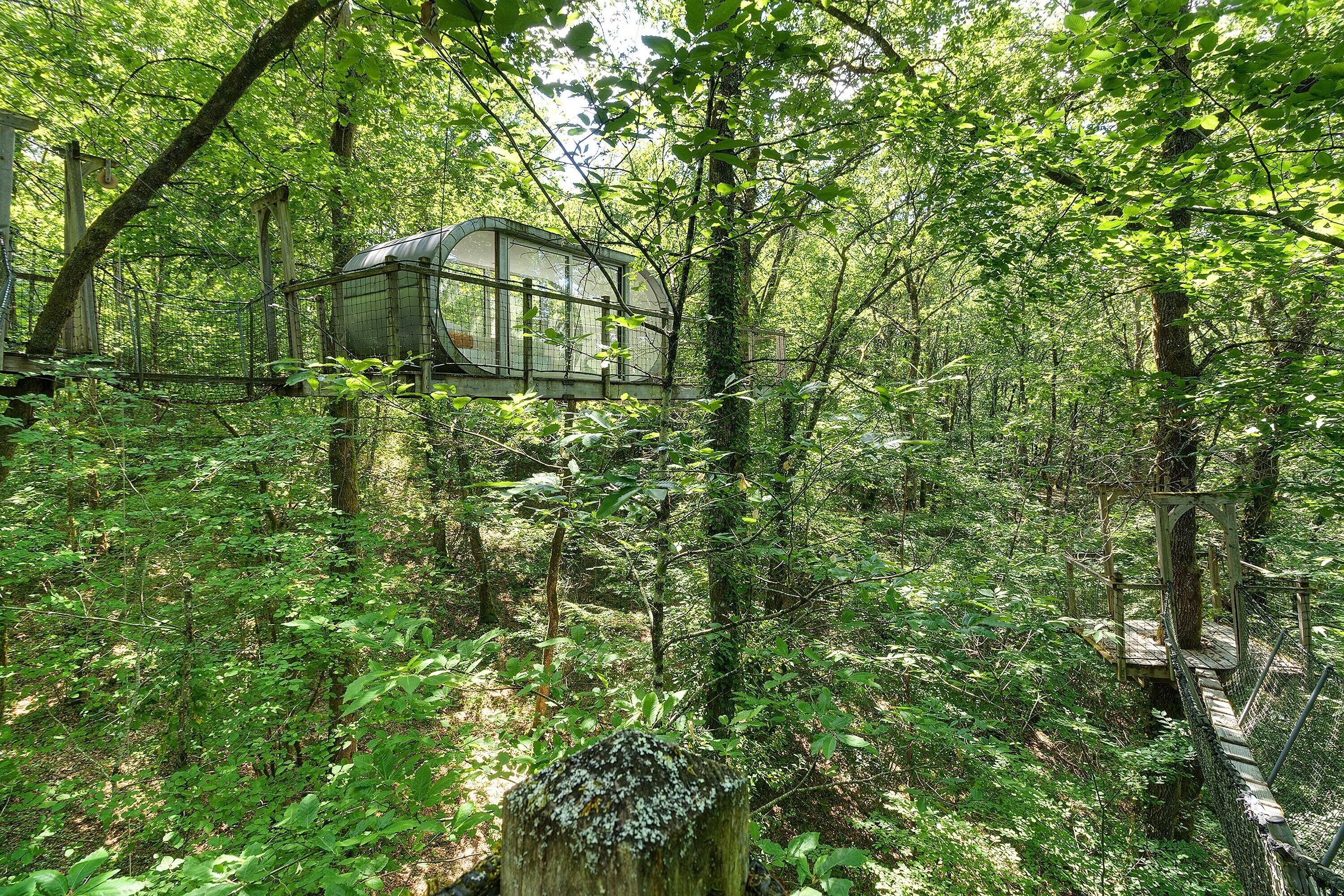 A forested area with a glass structure, possibly a viewing platform or cabin, surrounded by dense trees and foliage.