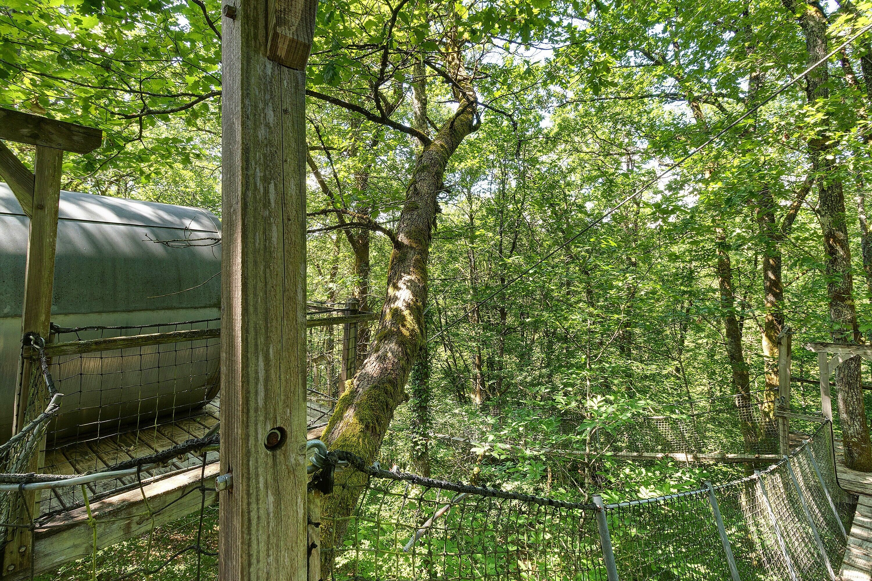 A forested area with a wooden structure and a green tank.
