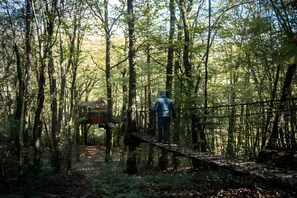 Une zone boisée avec un pont en bois et une structure visible au loin.