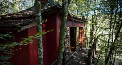 Die Zen-Hütte – Einzigartiger Rückzugsort in 8m Höhe im Wald, Hängebrücke, Terrasse und Aktivitäten