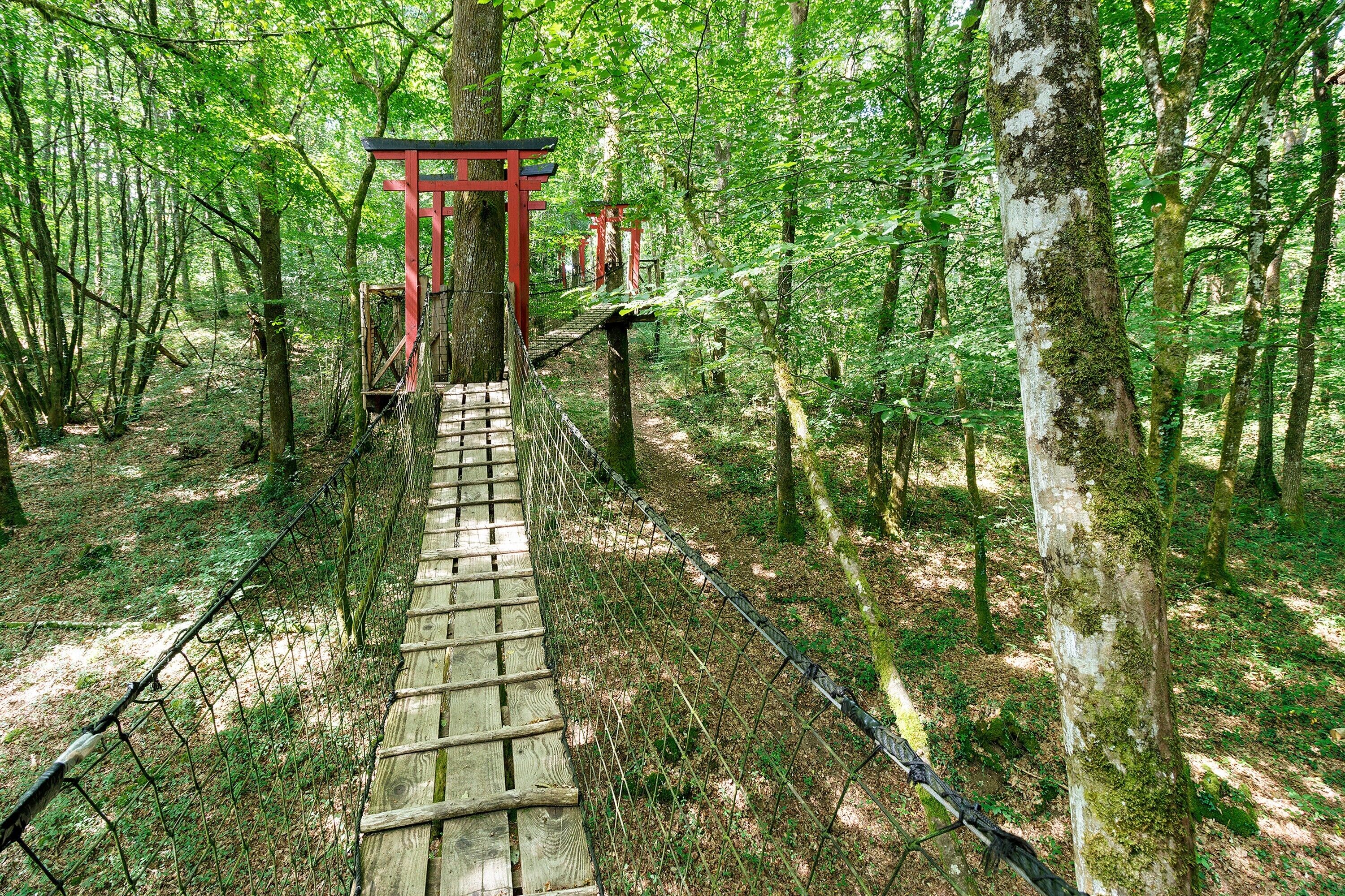 Un pont suspendu en bois, situé dans une forêt, avec des structures rouges à chaque extrémité.