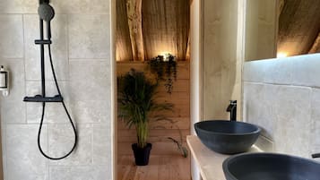 Shower, hair dryer, towels
