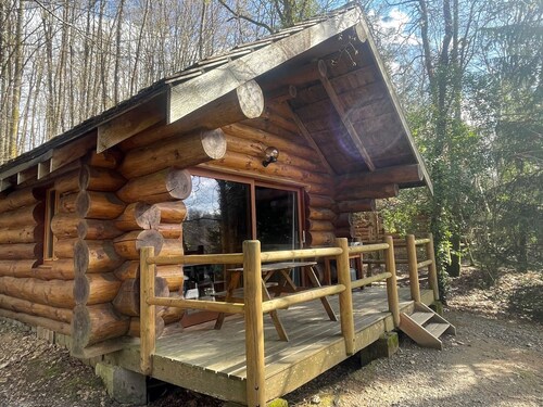 Log Cabin with Lake View – Nature Escape, Terrace, Canoe, and Activities
