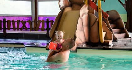 Little Song Thrush I Beautiful Home near Forest Edge