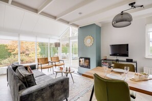 Tv, eldstad och en stereo