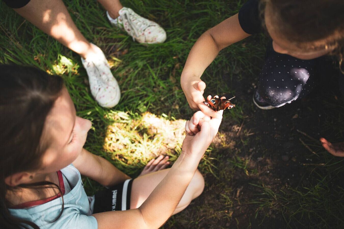 Un gruppo di persone sedute sull'erba, una delle quali tiene una farfalla.