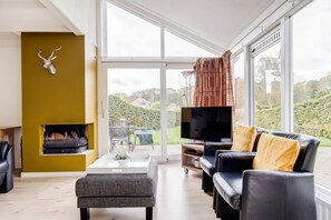 Televisión, chimenea, estéreo