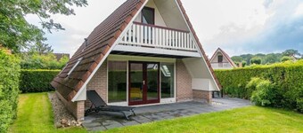 Kestrel I Enjoyment near the Forest