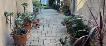 Peaceful cottage in Oakland hills with WiFi access