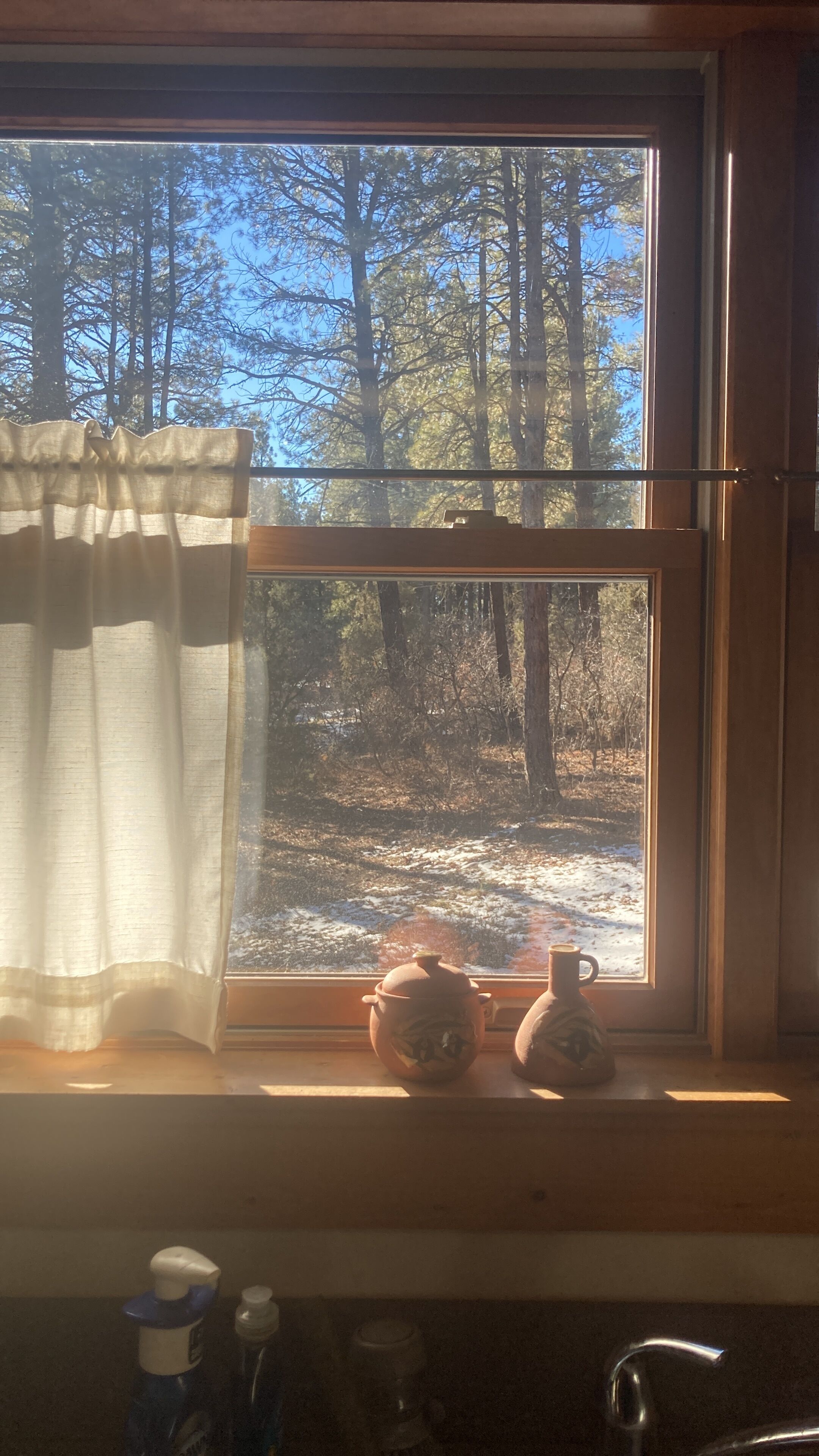 Ein Fenster mit Blick auf einen Wald, ein Vorhang und zwei Keramiktöpfe auf der Fensterbank.
