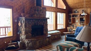 Télévision, cheminée, lecteur de DVD, livres