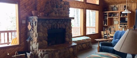 Een televisie, een open haard, een dvd-speler en boeken