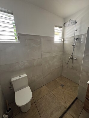 Ducha, toallas, jabón y papel higiénico