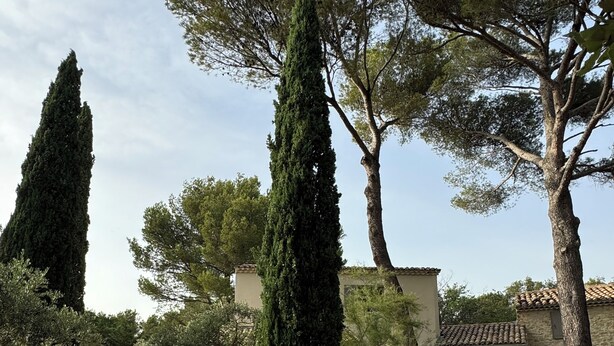 A gravel path leading to a building with a tiled roof and stone walls, surrounded by tall cypress trees and various shrubs. - Charming 4-bedroom Villa with AC, WiFi in lovely L'Isle-sur-la-Sorgue (L'Isle-sur-la-Sorgue)