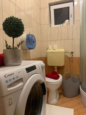 Shower, hair dryer, towels