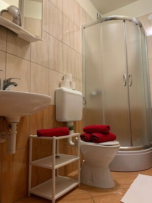 Shower, hair dryer, towels