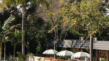 A pool area with lounge chairs and umbrellas, surrounded by palm trees and a building with a tiled roof.