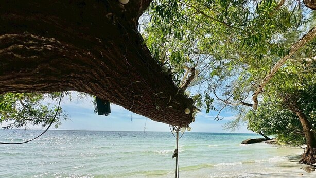 A beach scene with a swing hanging from a tree, overlooking the ocean. - Hello Banchuen Beach (Khlong Yai)
