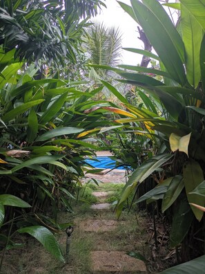 Property grounds - Villa on private property with garden and pool in Mui Ne (Phan Thiet)