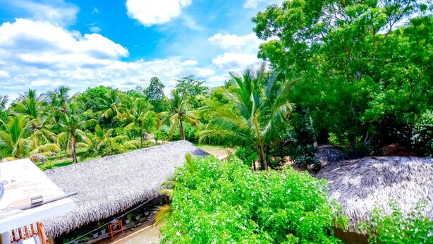 A thatched-roof structure surrounded by lush greenery and palm trees. - River Cottage Wellawaya (Wellawaya)