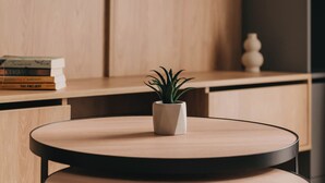 A modern living room with a flat-screen TV mounted on a wooden wall, a round wooden table with a potted plant, and a bookshelf with books and decorative items. - Safran Zlatibor (Zlatibor)