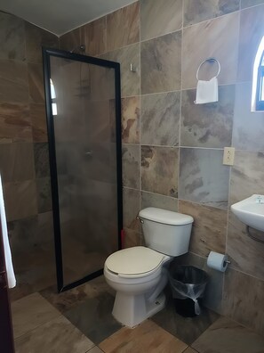Shower, jetted tub, hair dryer, bidet