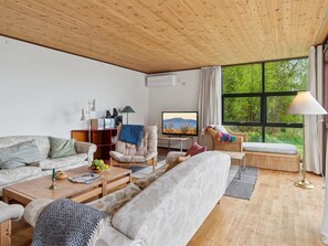 Télévision, cheminée
