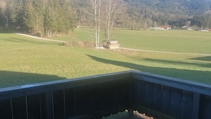 A view from a balcony overlooking a green field with a wooden fence, a stack of firewood, and a forested hill in the background. - Vacation apartment for 2 persons, 50 m², 1 separate bedroom, balcony (Inzell)