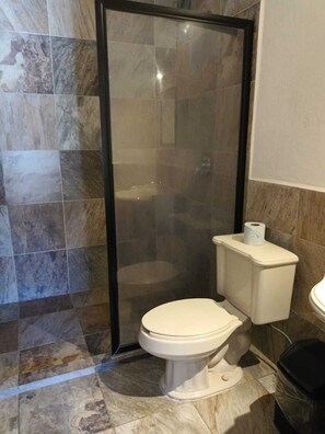 Shower, jetted tub, hair dryer, bidet