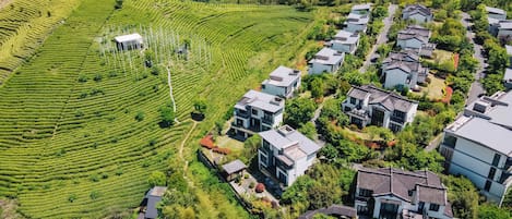 A residential area with modern houses and terraced tea gardens.