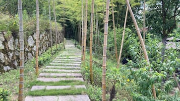 Hiking