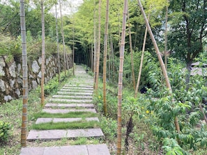 Wandern