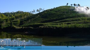 A pool with chairs and a view of terraced tea plantations and a hill.