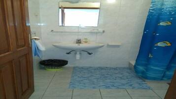 Shower, hair dryer
