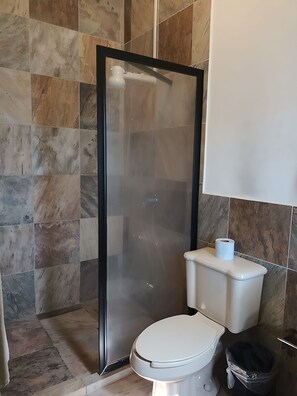 Regadera, tina de hidromasaje, secadora de cabello, bidet 